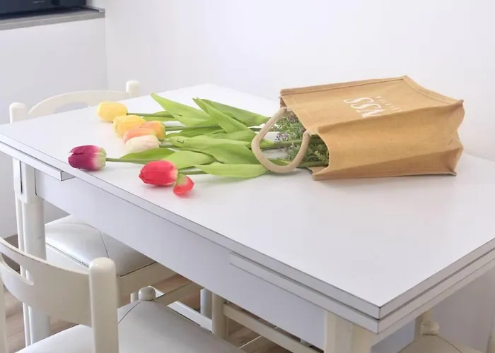 Sanguineti Flexyrent Ac * Rapallo